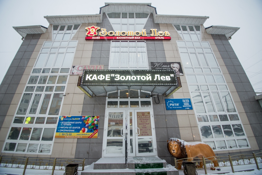 Фото Золотой лев