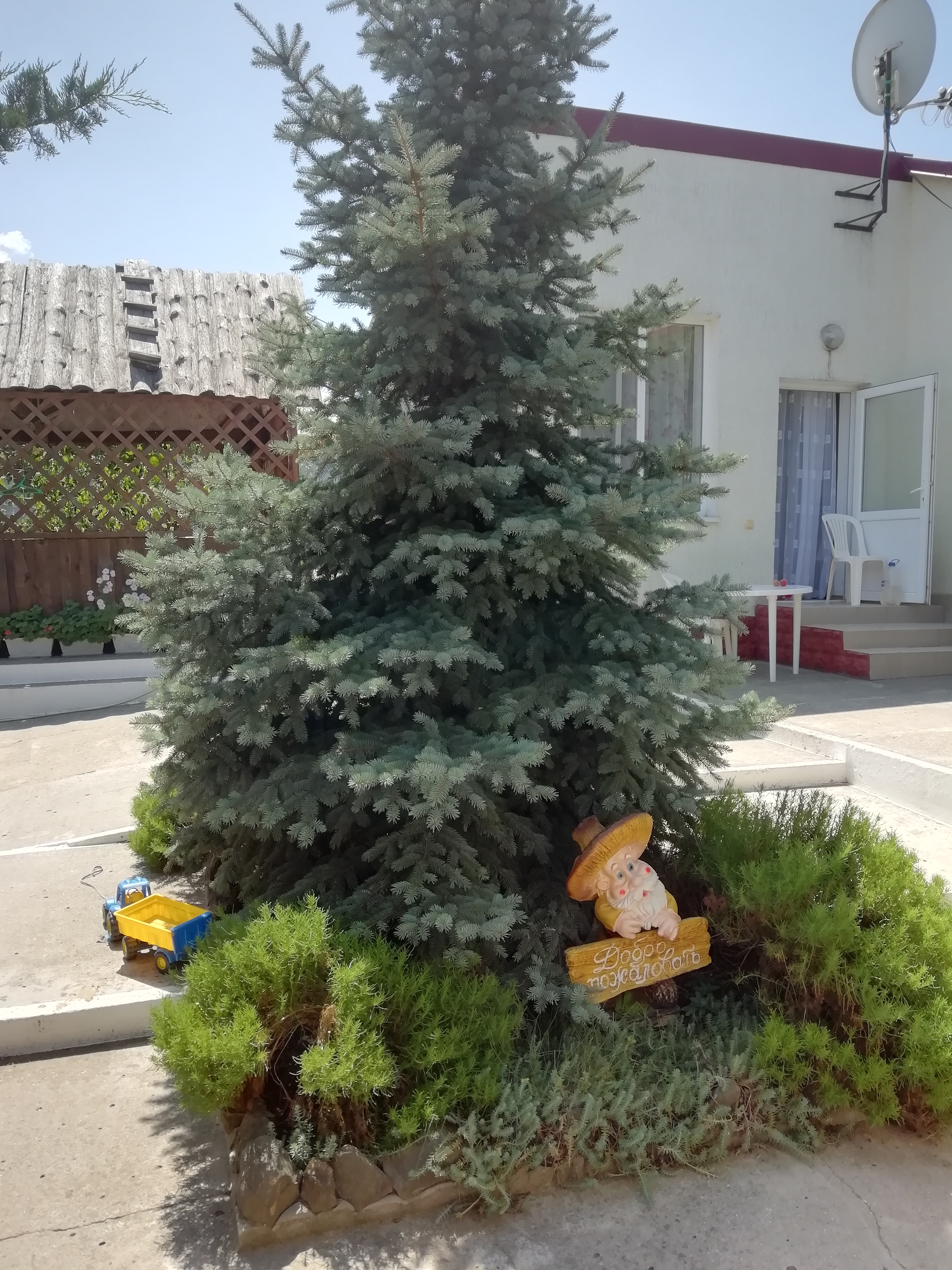 Фото Лукулл