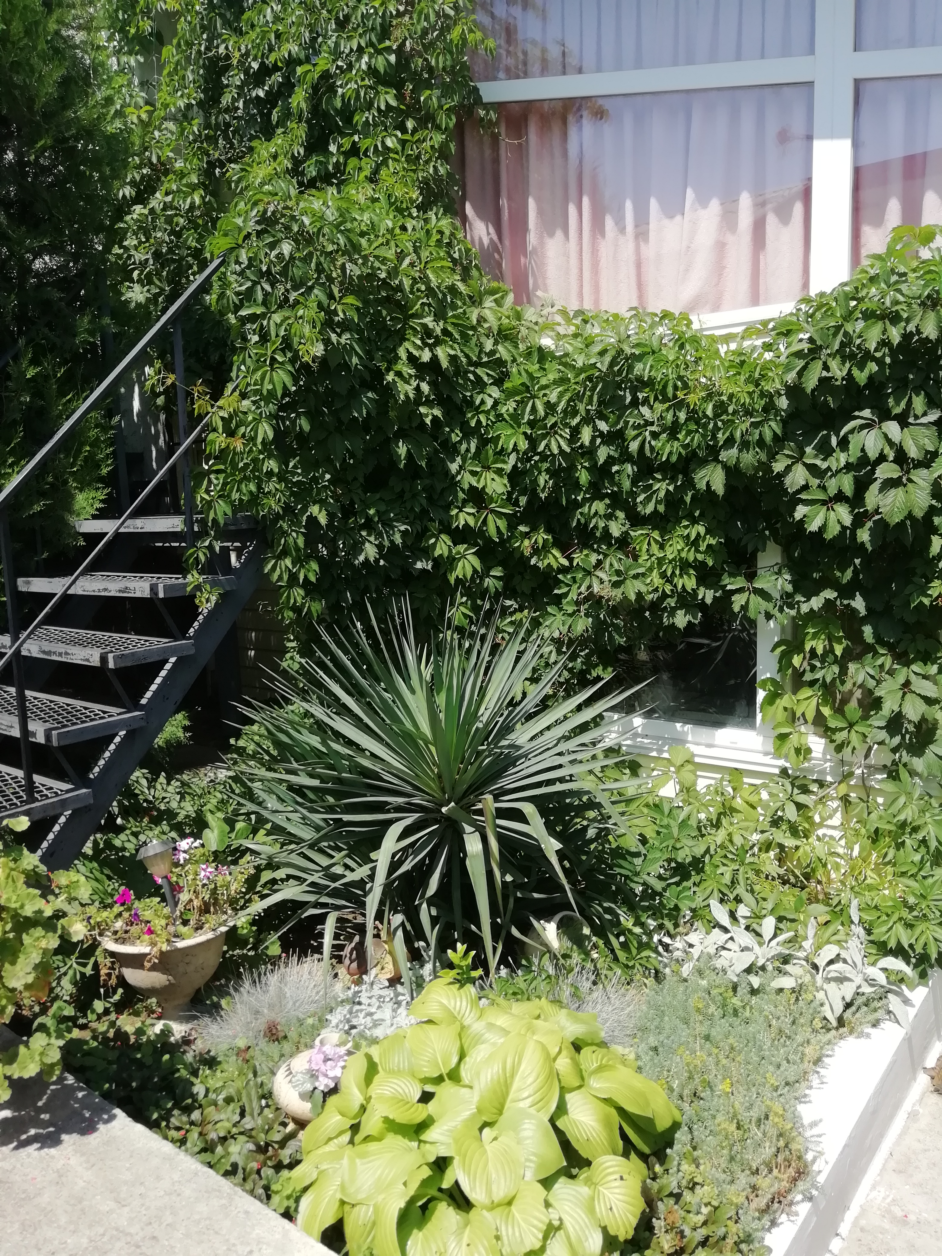 Фото Лукулл