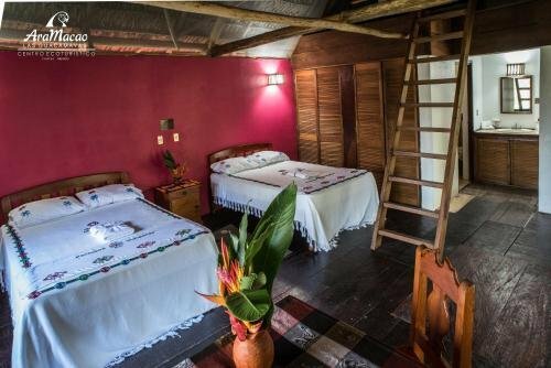 Жильё посуточно Las Guacamayas Lodge Resort, Selva Lacandona, Chiapas Mexico