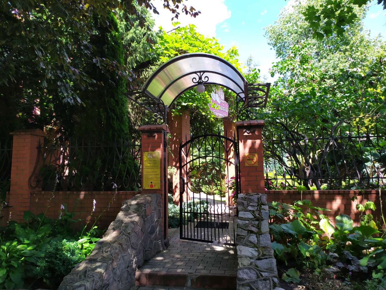 Фото Черепаха