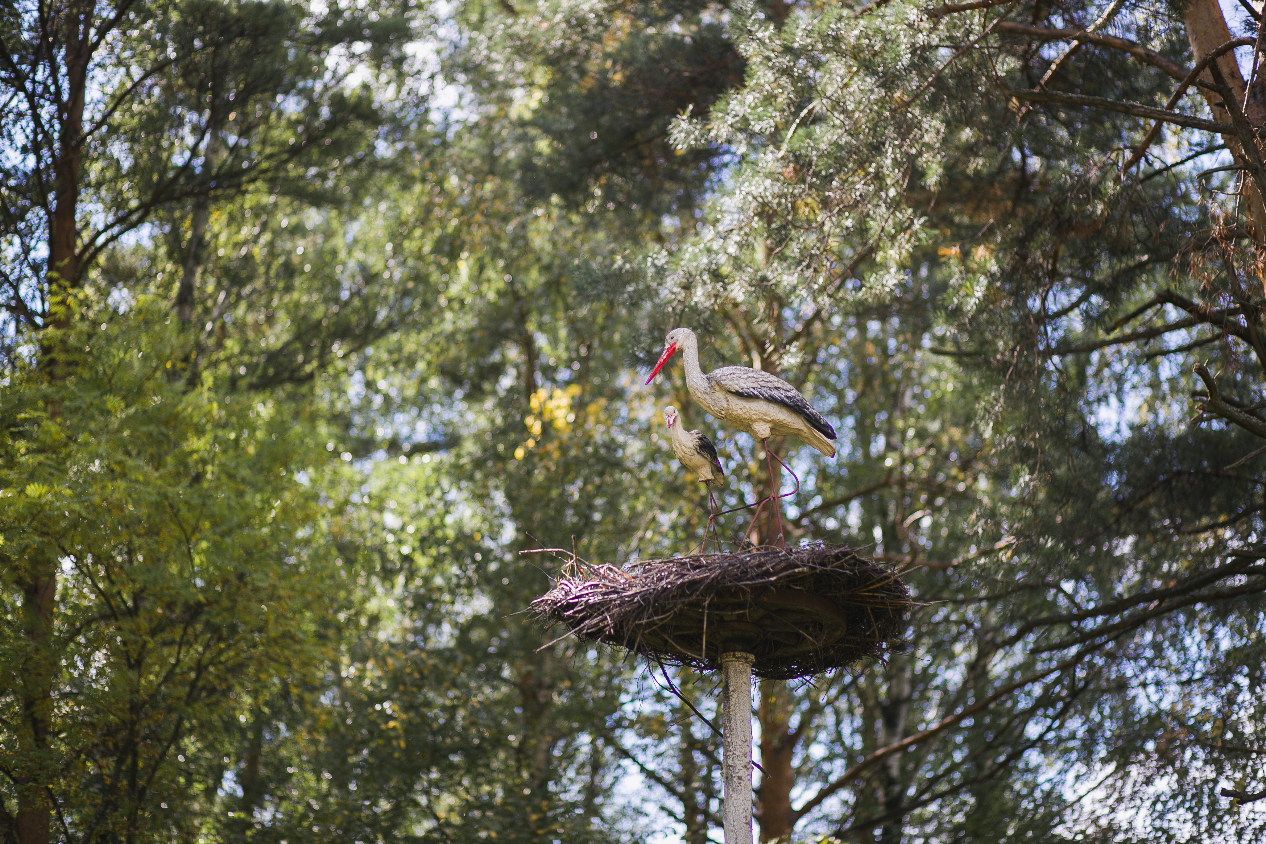 Фото Малые Соли