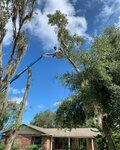 Mid Florida Tree Care (Florida, Orange County, Apopka), garden tools and equipment