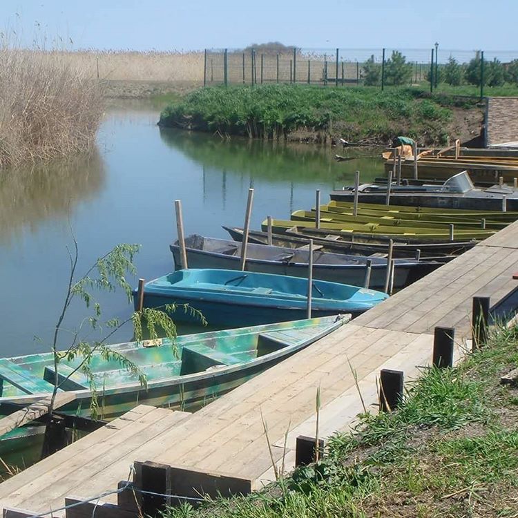 Фото Юность