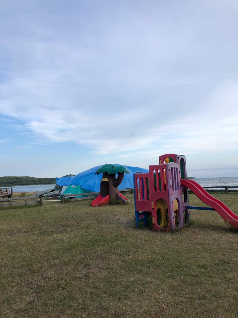 Фото Янтарная