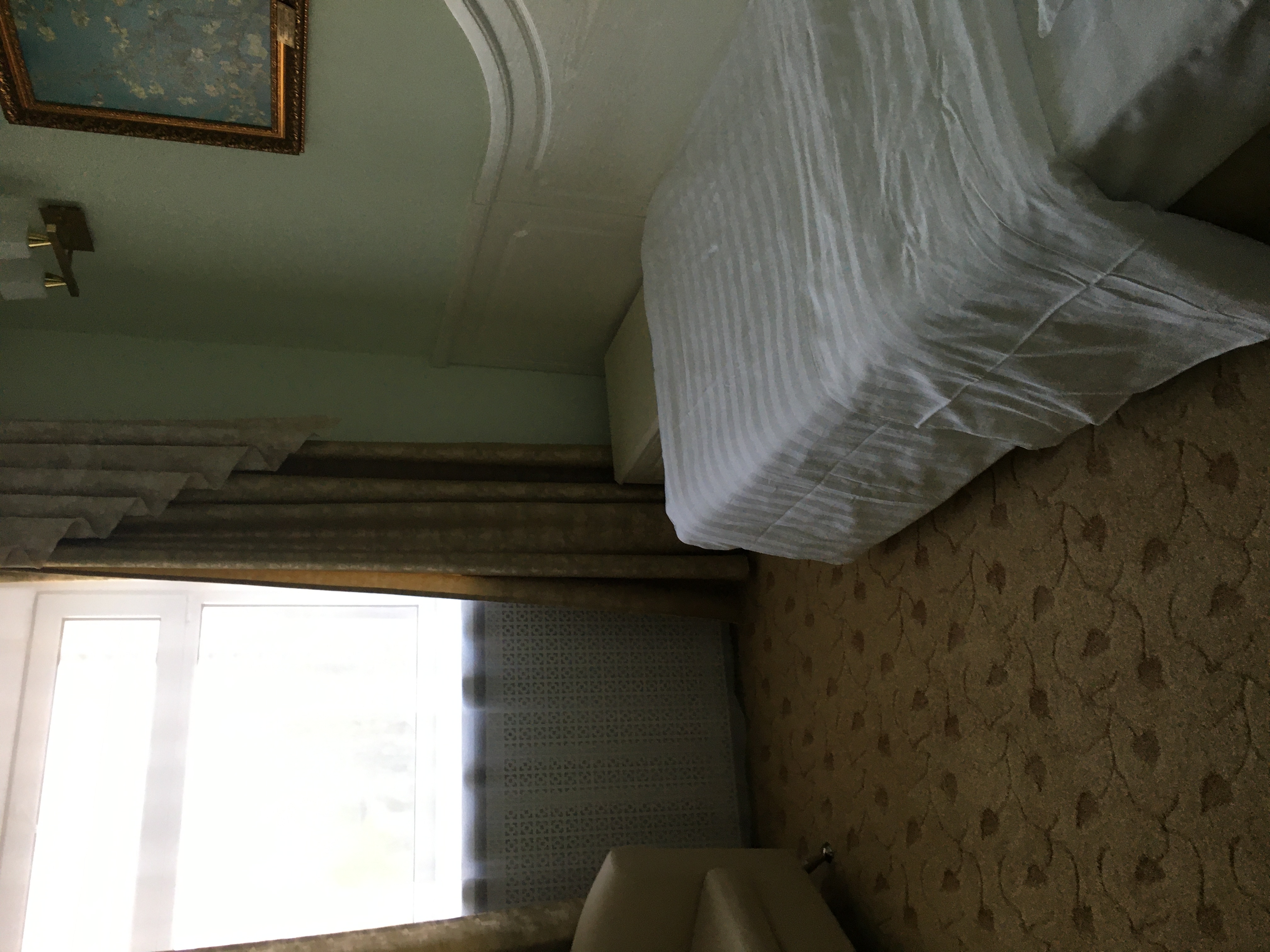 Фото Белое Дерево