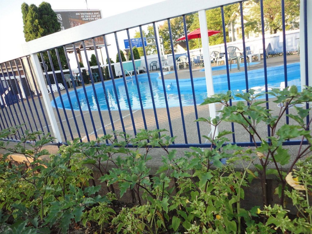 Фото Diplomat Inn