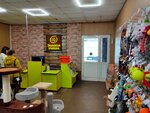 Золотая рыбка (ulitsa Denisova, 38) ، متجر للحيوانات الأليفة