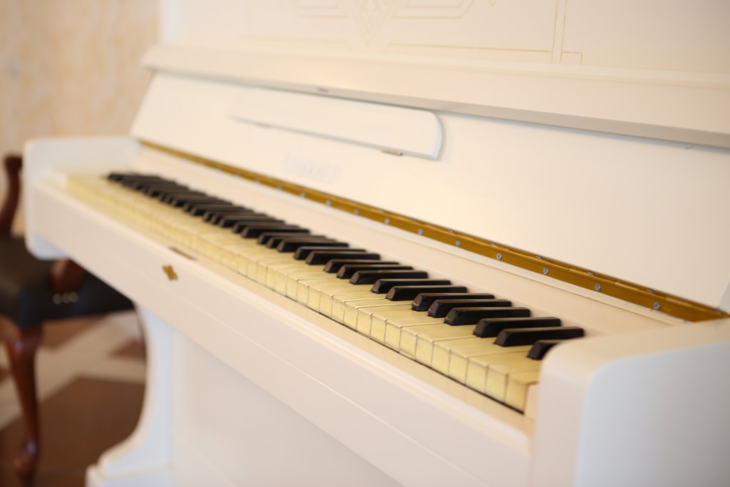 Фото Спутник