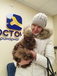 Kostochka (Kremenchugskaya Street, 19к3), veterinary clinic