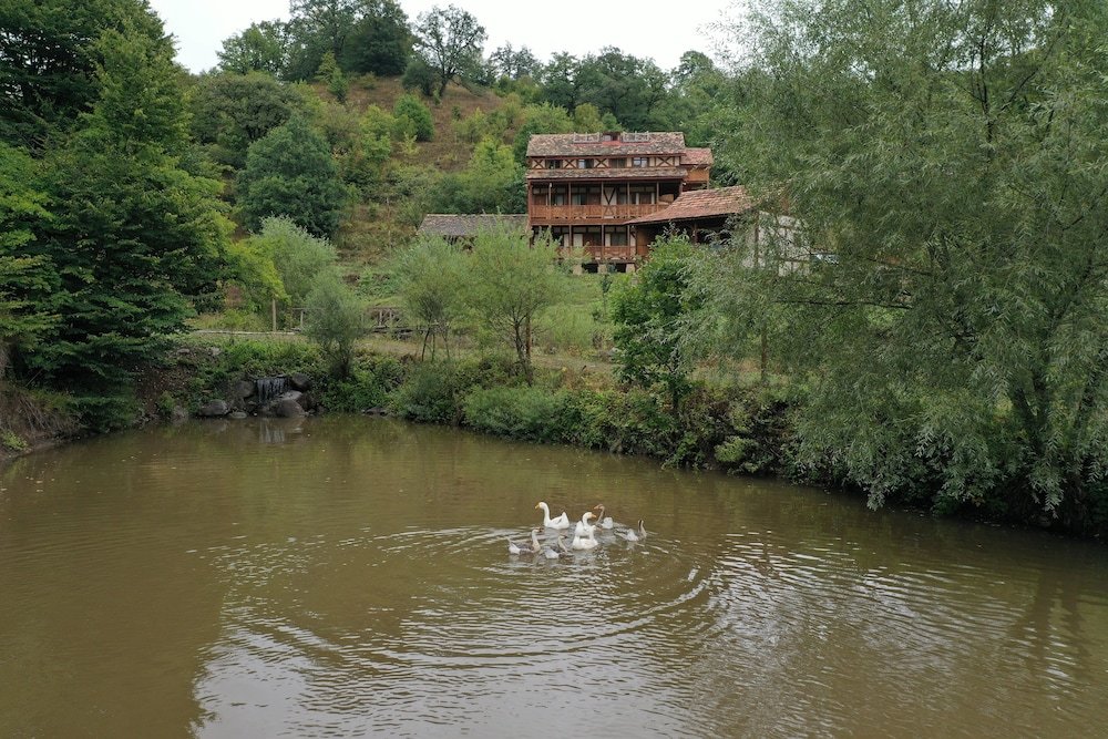 Фото Ecokayan Dilijan Resort Hotel