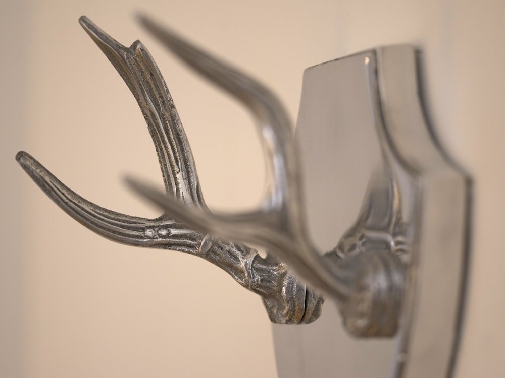 Фото Hotel Edelweiss