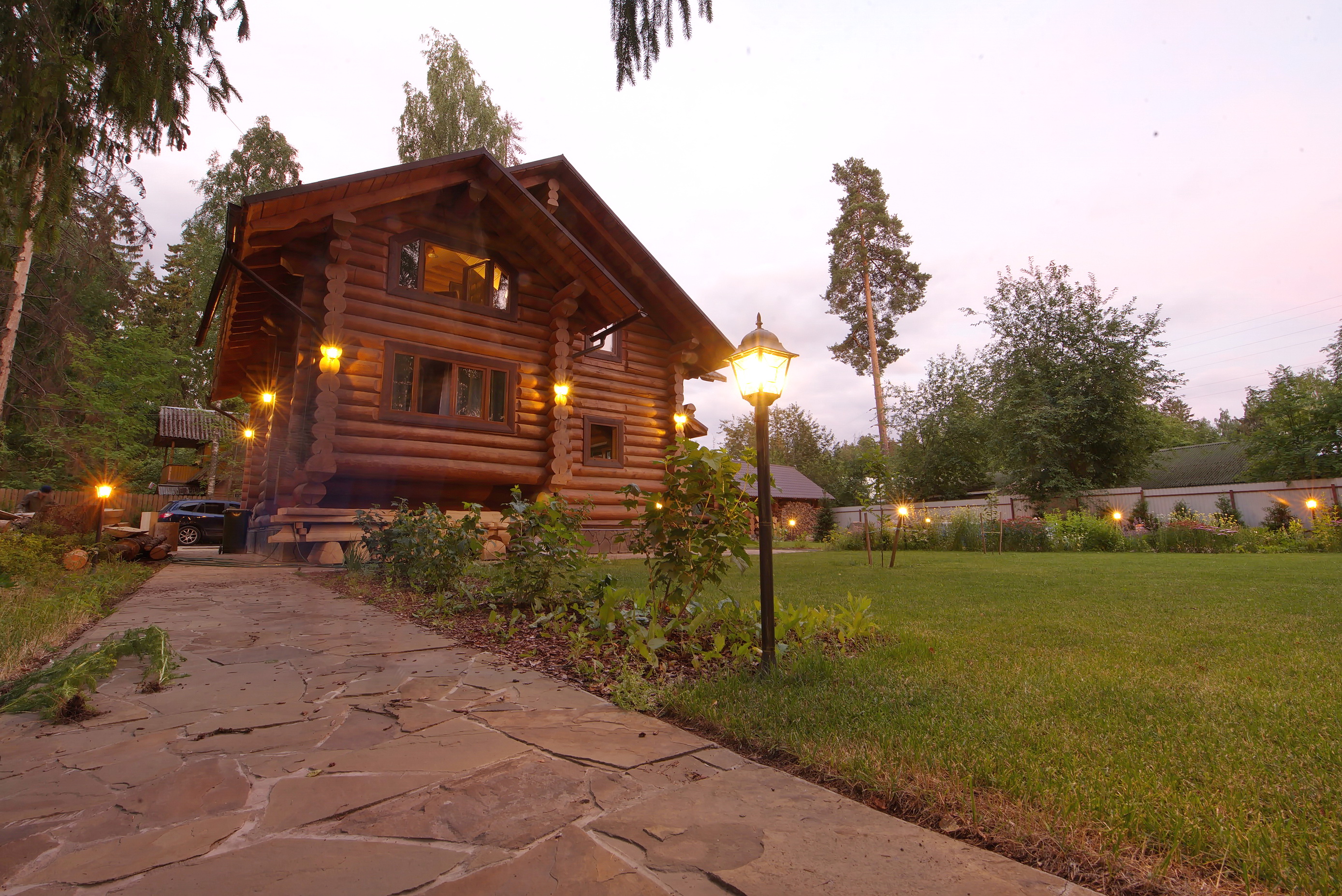 Фото Вырицкий мамонт