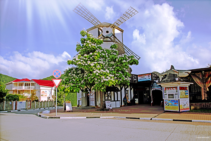 Фото Старая мельница