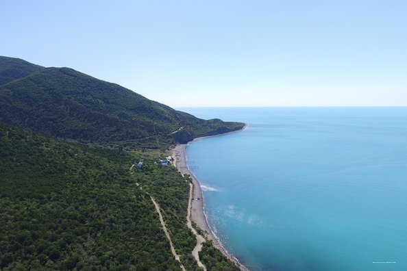 Фото Можжевеловый рай