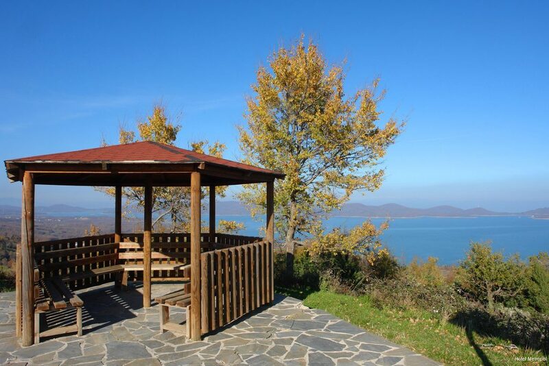 Фото Hotel Metropol