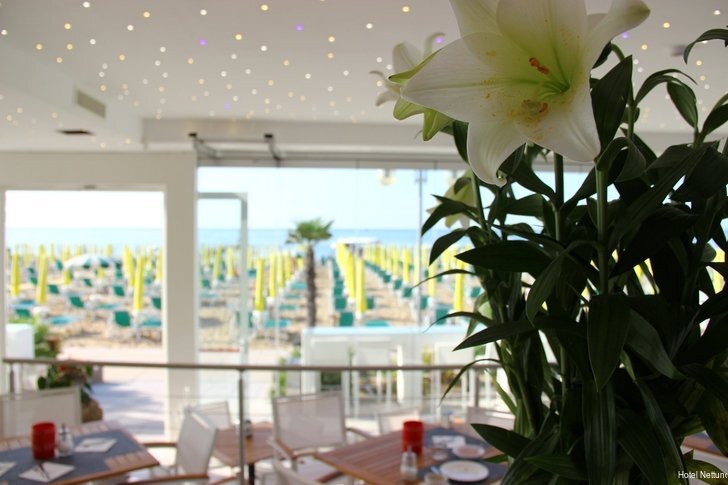 Фото Hotel Nettuno