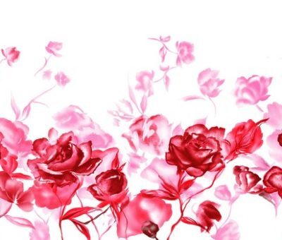 Фото New City Hotel & Restaurant Niš