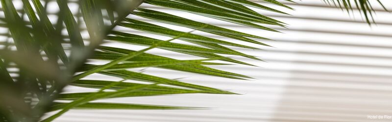 Фото The Deck Hotel by HappyCulture