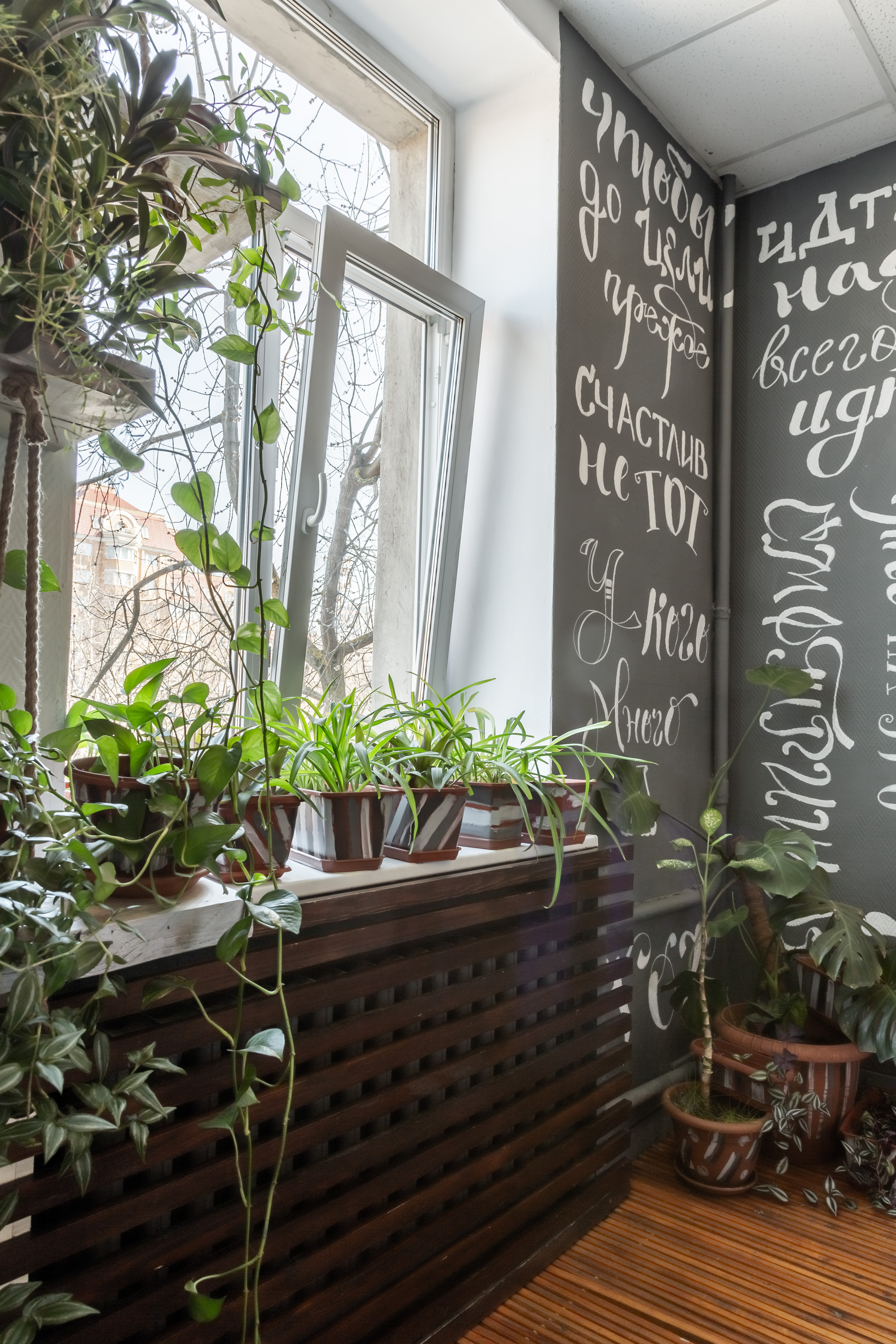 Фото Ананас