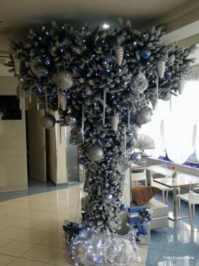 Фото Hotel Aurora Mare