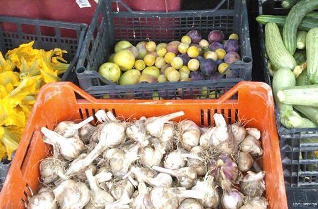 Фото Hotel Universal