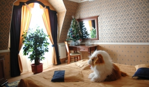 Фото Унисон