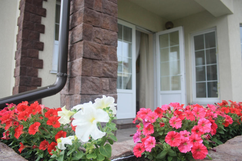 Фото Солнечный