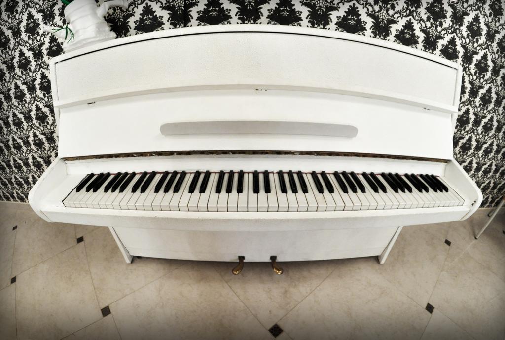 Фото Дон Мажор