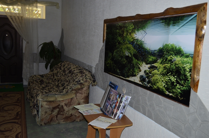 Фото АтлантикА