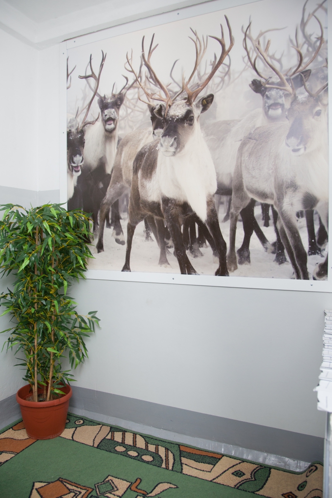 Фото Северянка