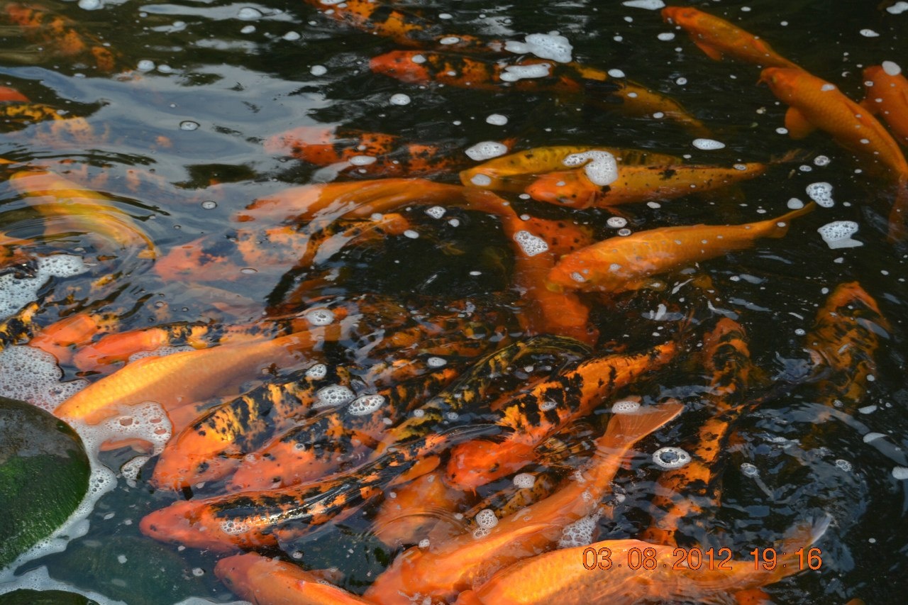 Фото Царская охота