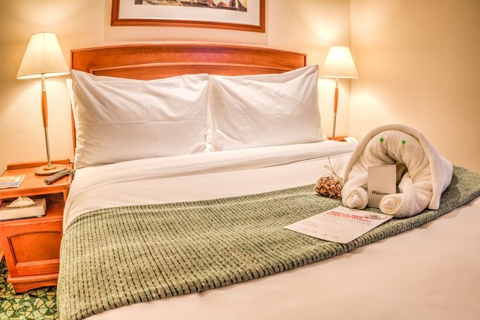 Фото Town Lodge Johannesburg Airport