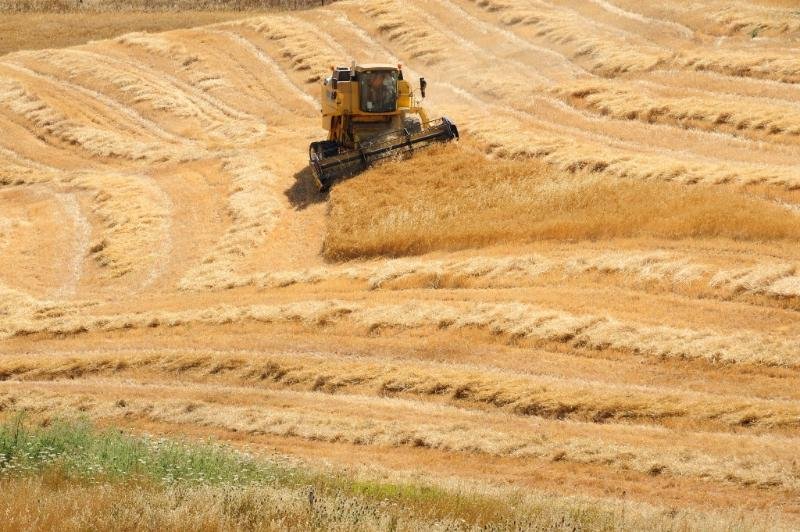 Фото Agriturismo Villa Dafne