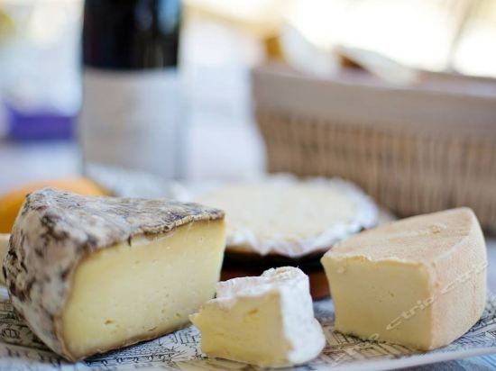 Фото Sheraton Metairie - New Orleans Hotel