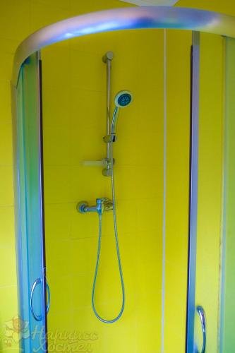 Фото Нарцисс