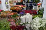 Пермская цветочная компания (ул. Восстания, 160, Пермь), доставка цветов и букетов в Перми