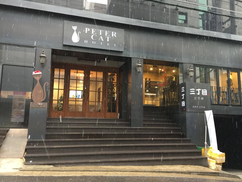 Фото Petercat Hotel Sinchon Hongdae