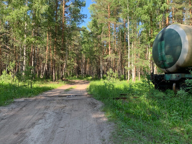 Лесничество, лесхоз Фролищенское участковое лесничество, Нижегородская область, фото