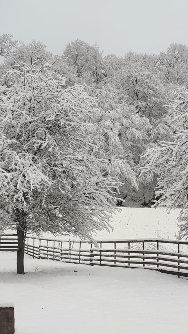 Фото Усадьба Заповедная