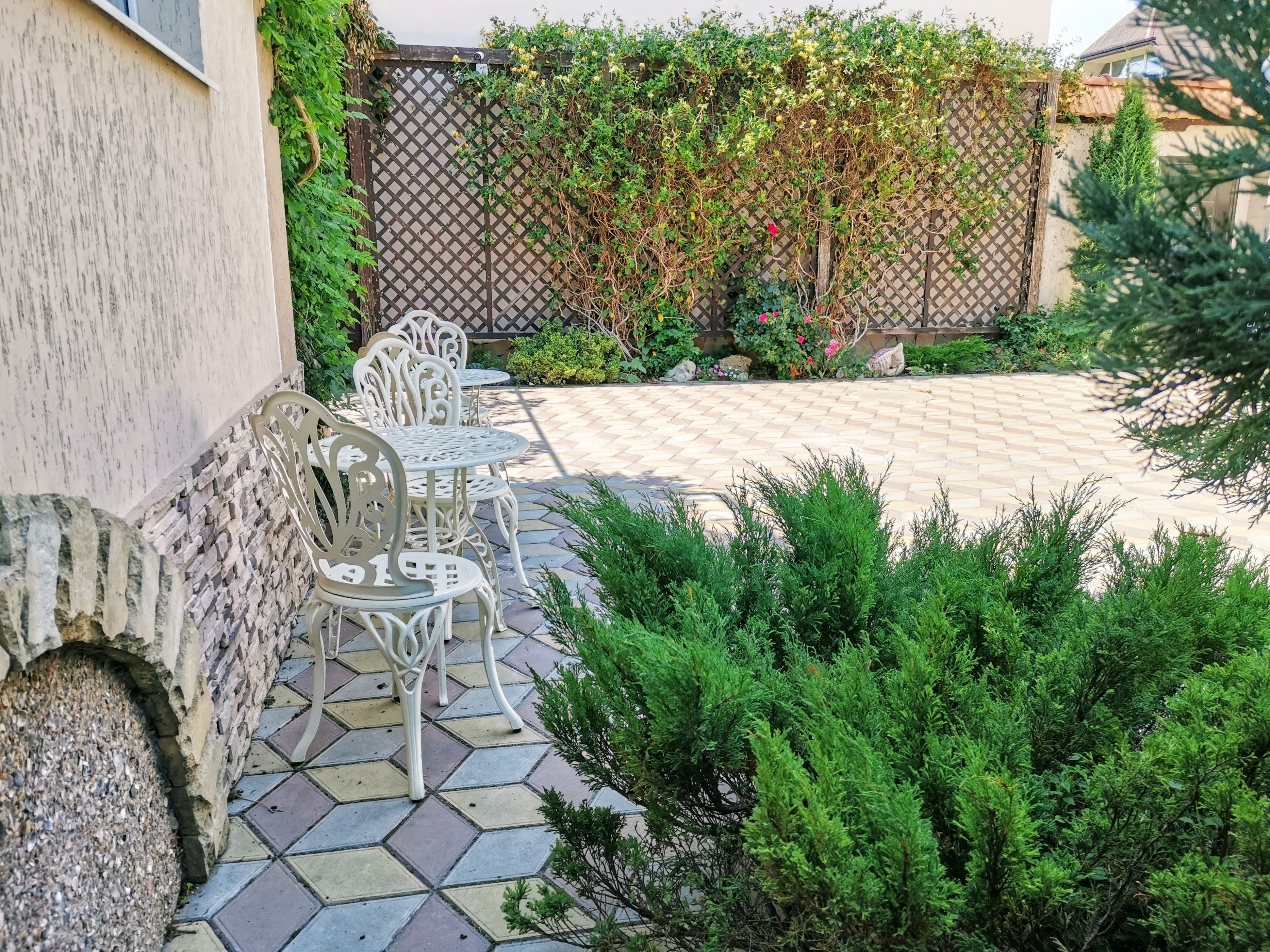 Фото Ракушка Блага