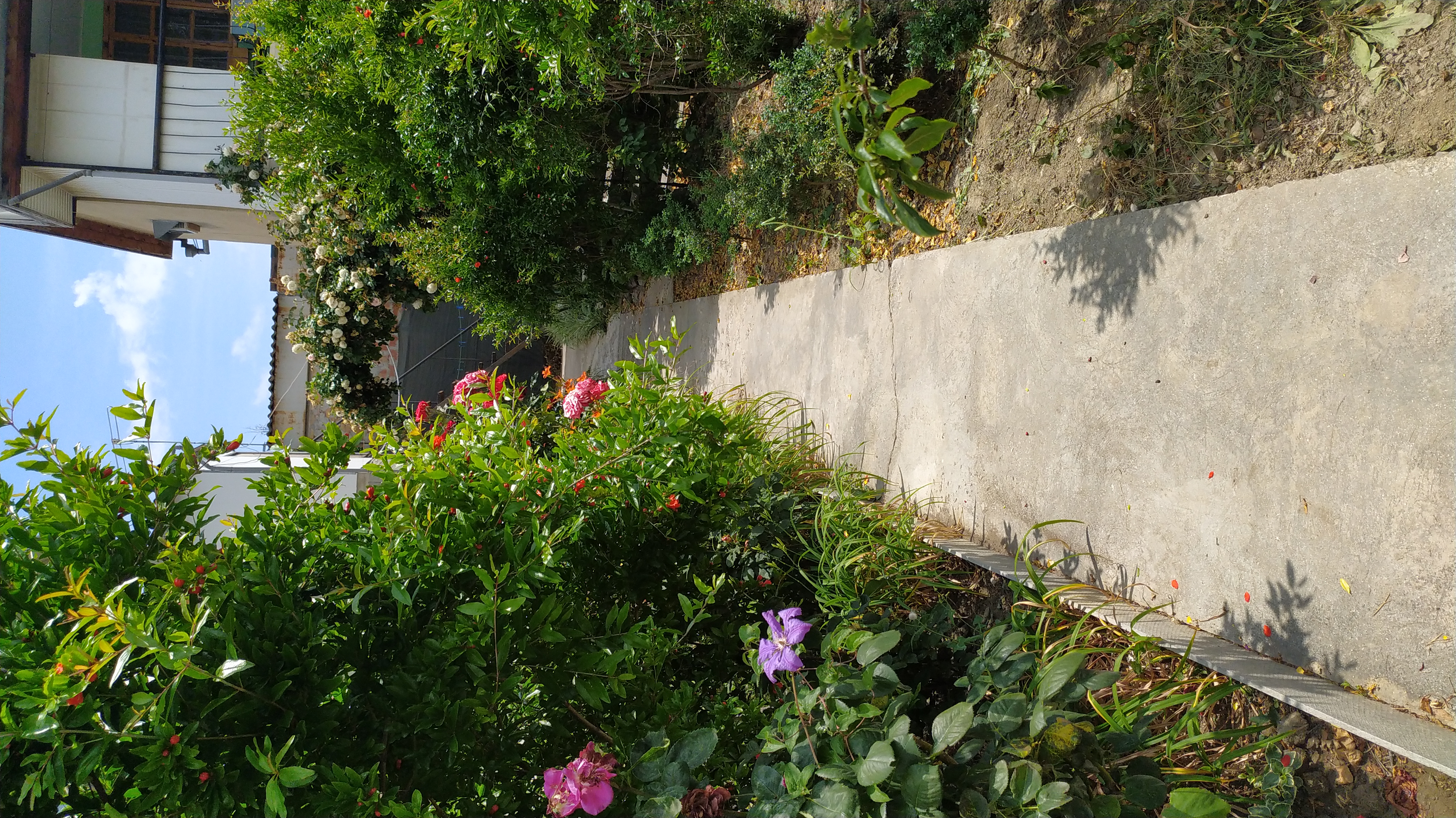 Фото Автограф