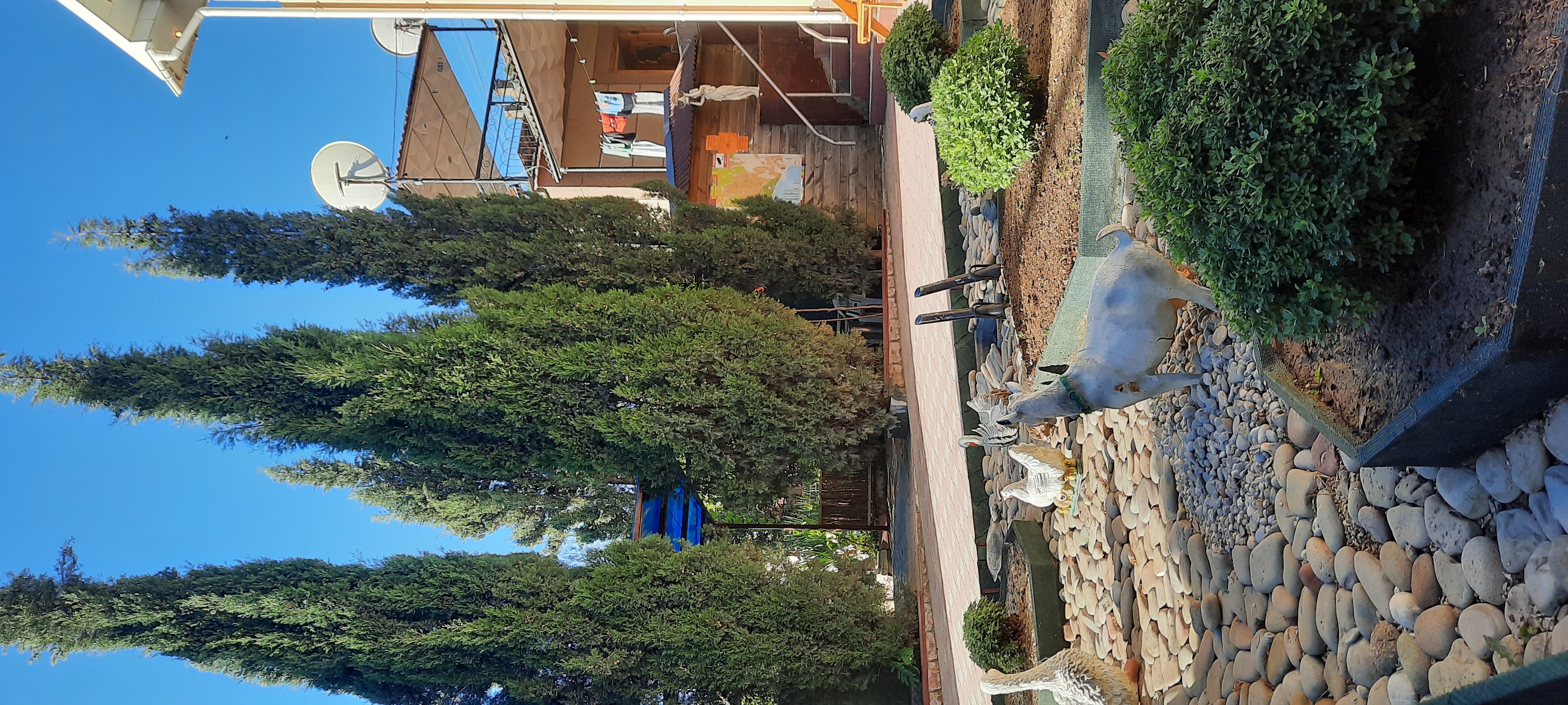 Фото Ласточкино гнездо