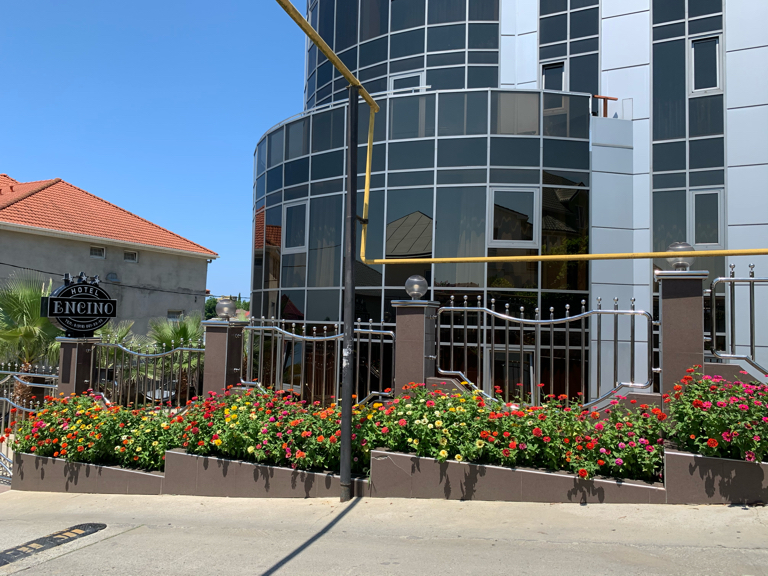 Фото Энсино