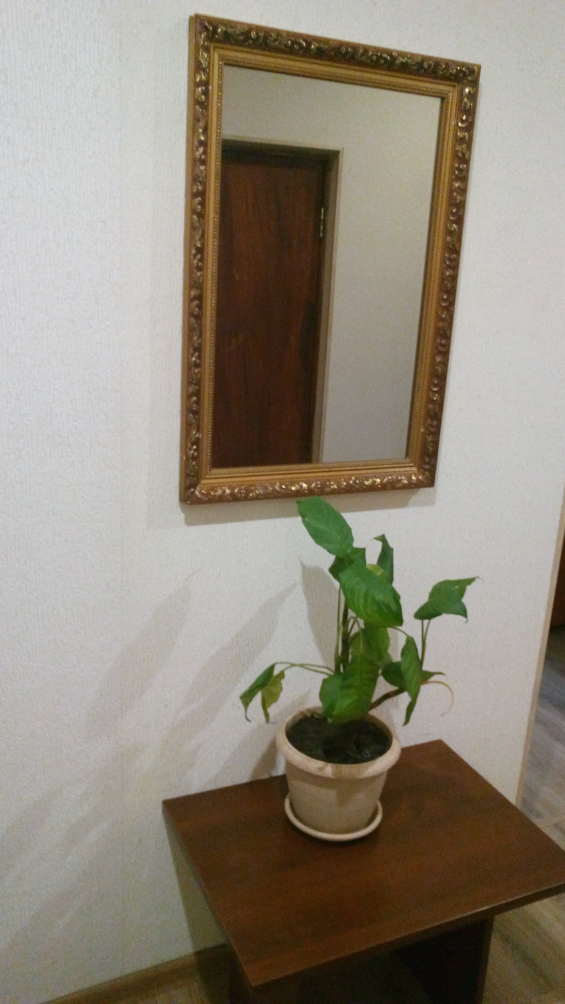 Фото Ковчег