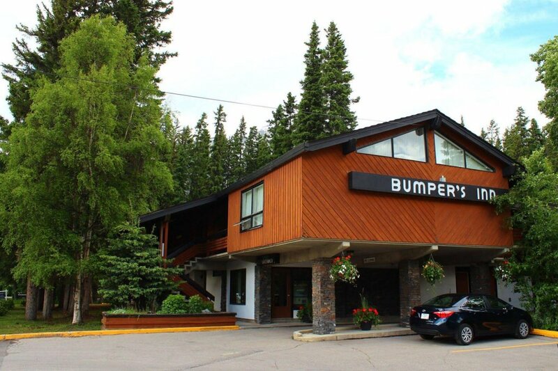 Гостиница The Dorothy Motel