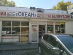 Океан (Donskaya Street, 15/5), grocery