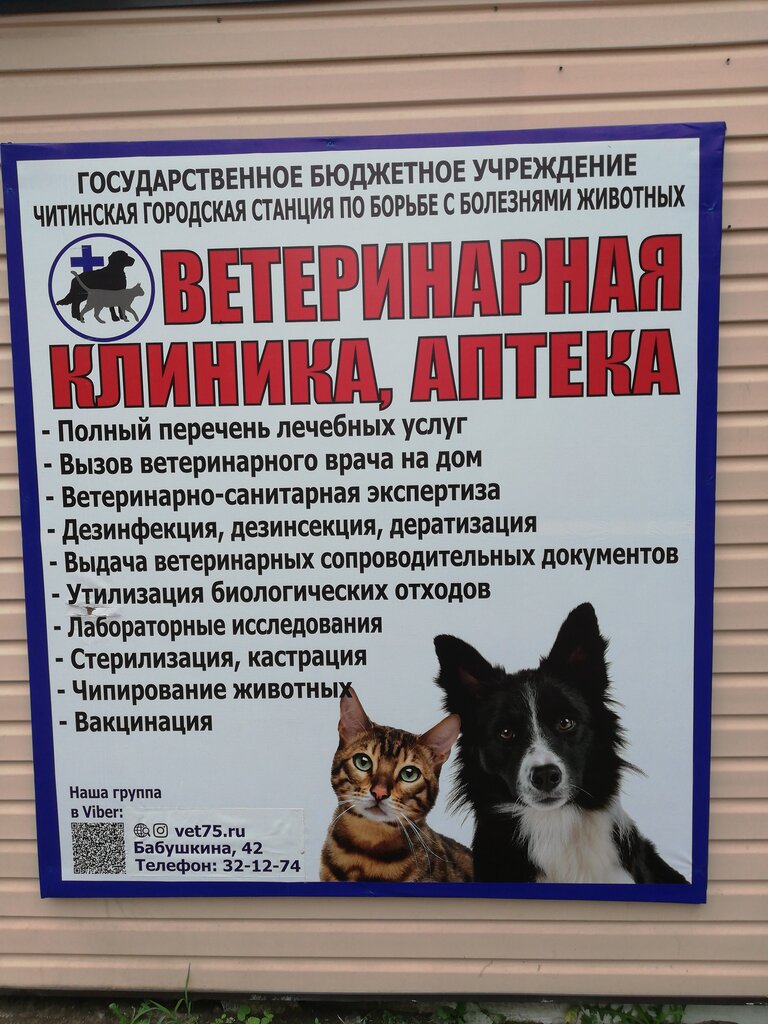 Veterinary clinic Читинская городская станция по борьбе с болезнями животных, Chita, photo