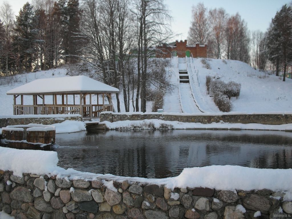 Фото Солониха