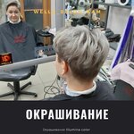 Wella (6-y mikrorayon, 2), hairdresser